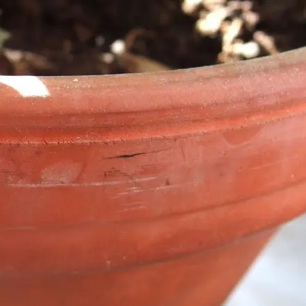 Tomatenflecken? Dreckige Blumentöpfe? Verschmutzter Grill?