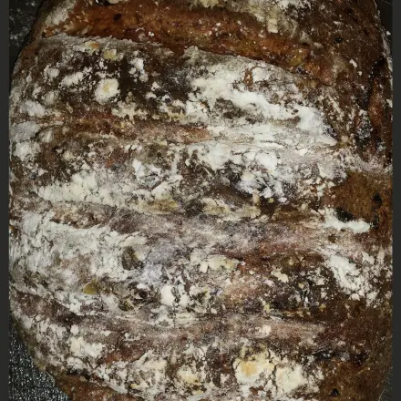Herzhaftes Gourmetbrot (glutenfrei und laktosefrei)