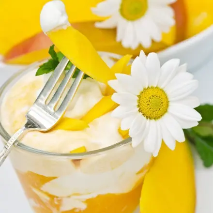Mango-Kokos Dessert