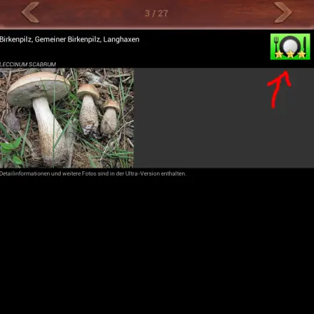 Pilze suchen - App-Empfehlung