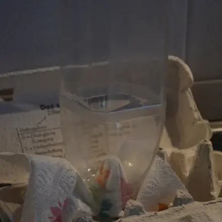 Eierkarton als Hilfe zum Trocknen für Flaschen