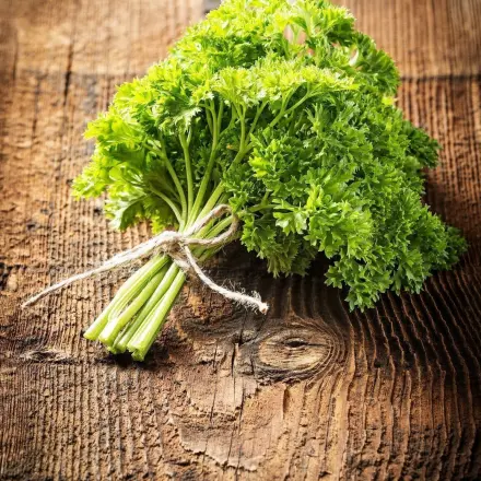 Superfrische Kräuter im Kühlschrank