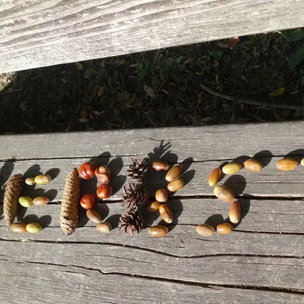 Basteln mit Naturmaterialien ohne Tierchen