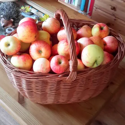 Sehr leckeres selbstgemachtes Apfelmus