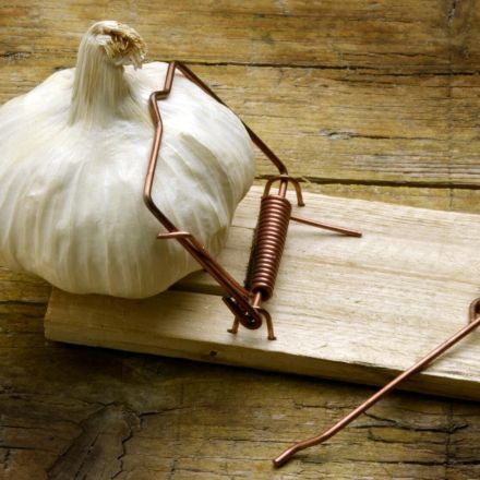 Knoblauchfahne - was tut man dagegen?