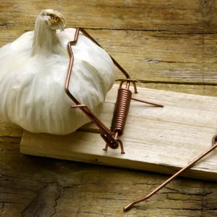 Knoblauchfahne - was tut man dagegen?