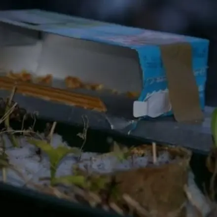 Futterstelle für Meisen