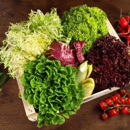 Tipps für leckeren Salat und Dressings