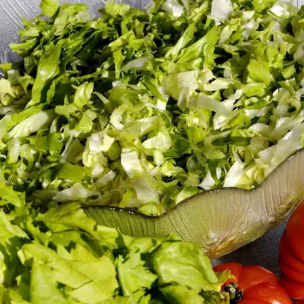 Endiviensalat mal anders