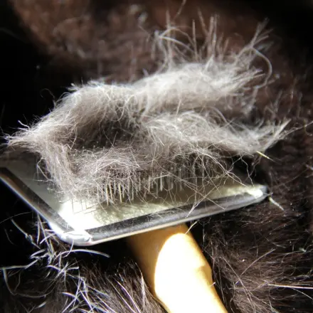 Tierhaare mit Nylonstrumpf entfernen