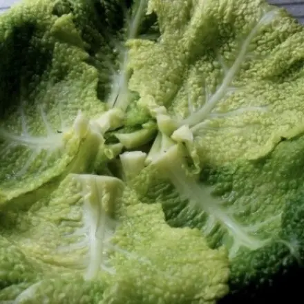 Gefüllter Wirsingkohl-Auflauf