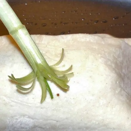 Backpinsel für herzhafte Gerichte