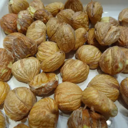 Esskastanien - Edelkastanien - Maroni konservieren