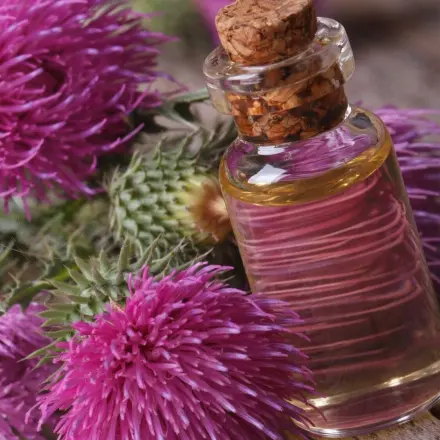 Distelöl bei unreiner Haut
