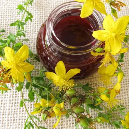 Johanniskrautöl gegen Periorale Dermatitis & Pickel