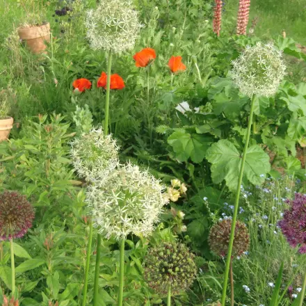 Torffreie Blumenerde selbst anmischen