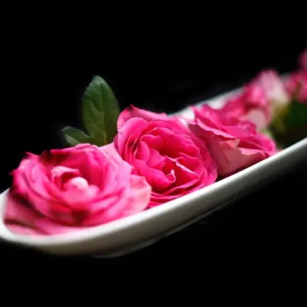 So hat man länger was von Rosen