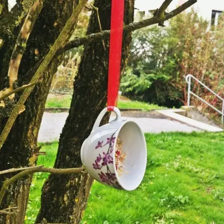 Vogelfutter in Tassen - Vogelfuttertassen