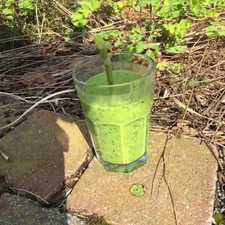 Grüner Smoothie