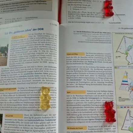 Lernen mit Belohnung