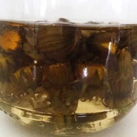 Sauer eingelegte Löwenzahnkapern