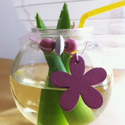 Aloe Vera-Kokoswasser