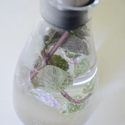 Erfrischendes kalorienfreies Sommergetränk