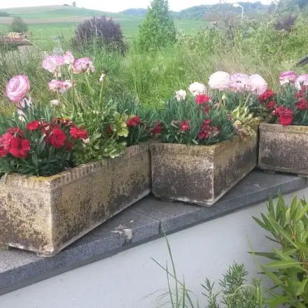 Topfgarten bewässern