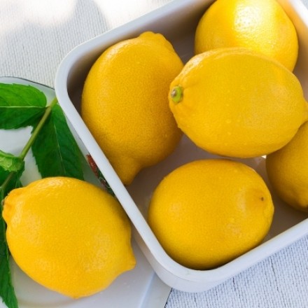 Die Zitrone - vielseitiges Wundermittel aus der Küche