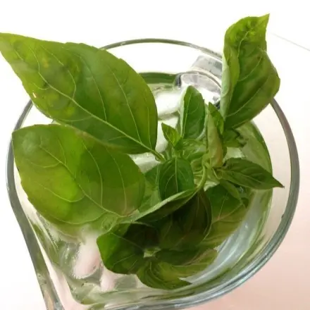 Basilikumwasser - ein Gedicht