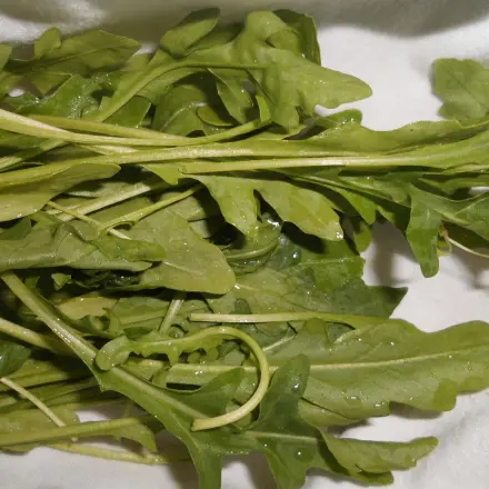 Bunten Salat frisch halten