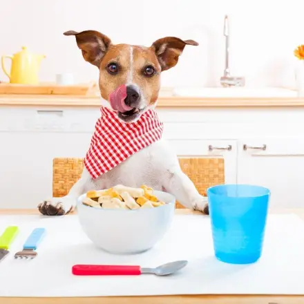 Tischmanieren von heute: So macht man bei Tisch einen guten Eindruck