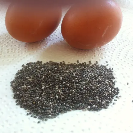 Ei-Ersatz beim Backen und Kochen - 7 Alternativen (vegan)