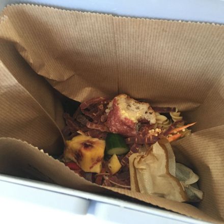 Fruchtfliegen im Bioeimer vermeiden