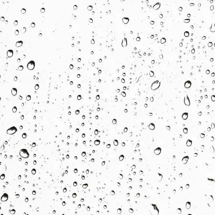 Fenster bleiben länger sauber und schön