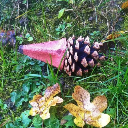 Herbstbasteln: Igel aus Zapfen und Eierkarton