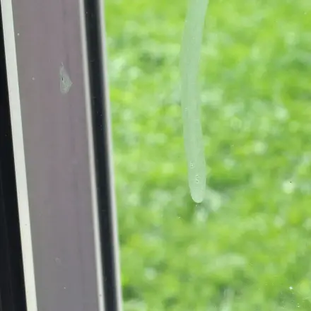 Fenster reinigen - Kalkspritzer, Wandfarbe, Fliegendreck etc.