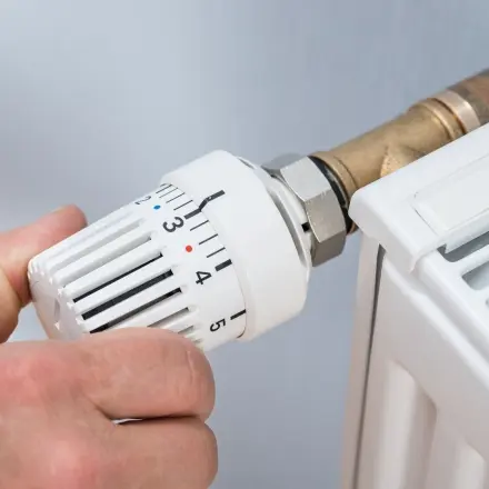 Wenn trockene Heizungsluft nervt