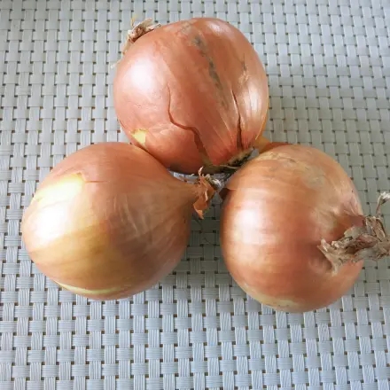 Zwiebeln - zum Weinen? Teil X