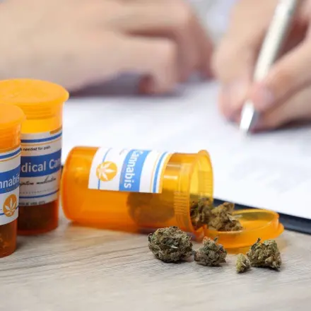 Cannabis als Medizin: Was muss ich wissen?