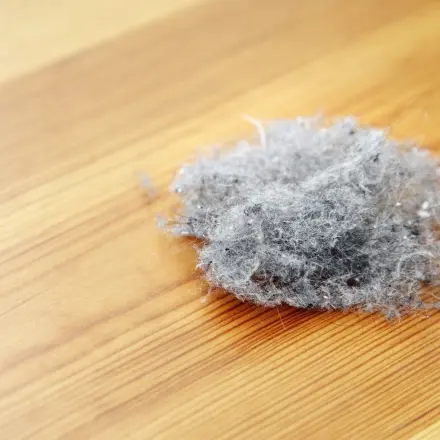 10 Tipps gegen Hausstauballergie