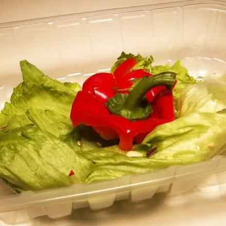 Plastikschalen von Tomaten oder Champignons weiterverwenden