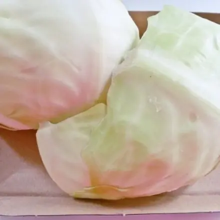 Weißkohlblätter als Kompressen verwenden