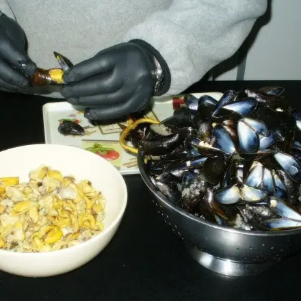 Muschelfleisch einfrieren