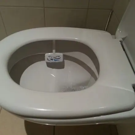 Tabs für die Toilette herstellen