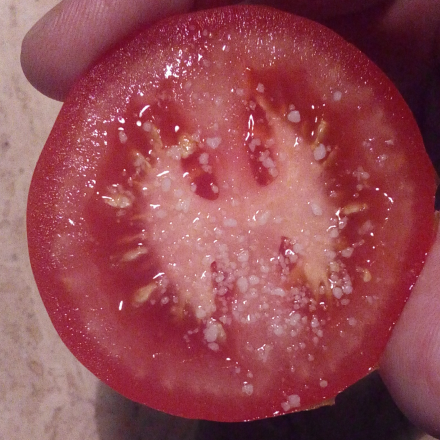 Tomate aus der Hand - ohne Kleckern essen