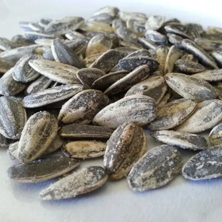 Wissenswertes über Sonnenblumenkerne