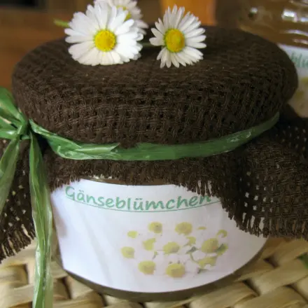 Gänseblümchen-Gelee