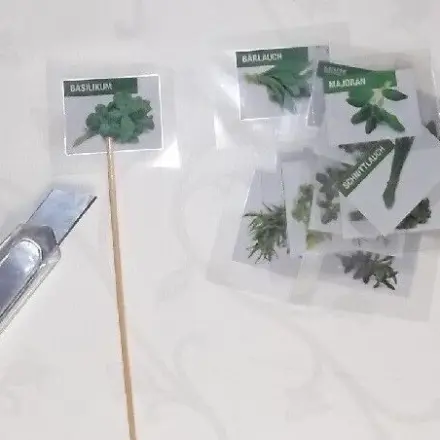 Welches Kraut sieht wie aus und schmeckt zu was?