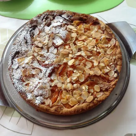 Aprikosen-Mandelkuchen